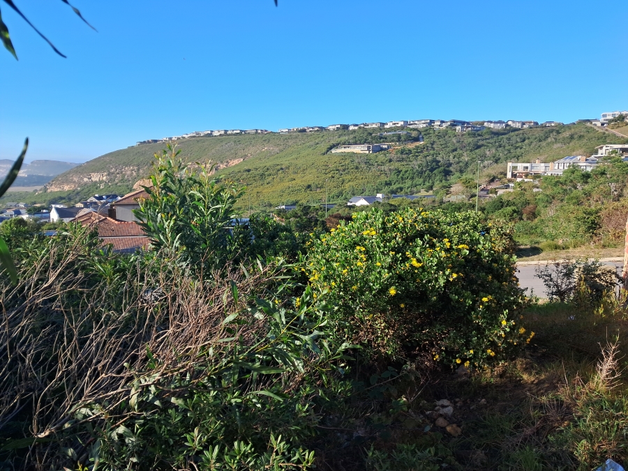 0 Bedroom Property for Sale in Whale Rock Western Cape